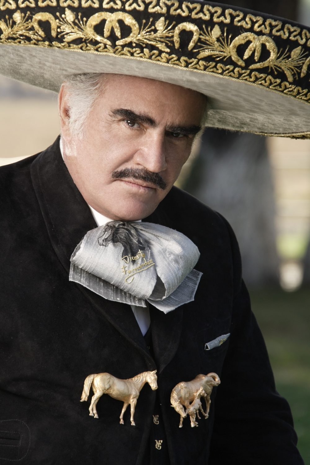 Vicente Fernandez - M&M Group Entertainment